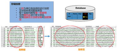 安华金和数据安全治理框架下的数据内部存储安全技术 数据处理与存储服务的关键实践