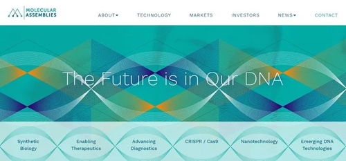 DNA存储 这些公司正在开启数据存储的未来